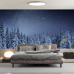 Papier Peint Panoramique Forêt Nuit Étoilée