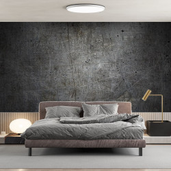 Papier peint Panoramique Metal Griffé