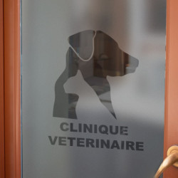 Sticker Logo Clinique Vétérinaire Dépoli