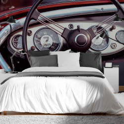 Papier Peint Panoramique Vintage Volant 2