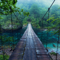 Papier Peint Panoramique Pont Jungle Papier Peint Panoramique Pont Jungle