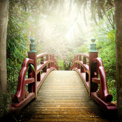 Papier Peint Panoramique Jardin Japonais Papier Peint Panoramique Jardin Japonais