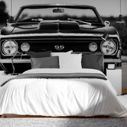 Papier Peint Panoramique Chevelle SS