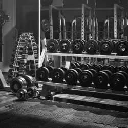 Papier Peint Panoramique Musculation Gym Papier Peint Panoramique Musculation Gym