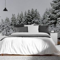 Papier Peint Panoramique Foret Enneigée