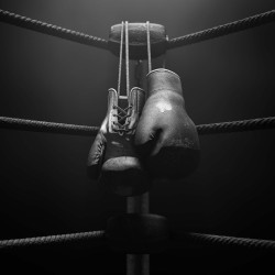 Papier Peint Panoramique Boxe Gants Vintage Papier Peint Panoramique Boxe Gants Vintage
