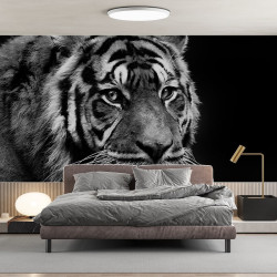 Papier Peint Panoramique Tigre