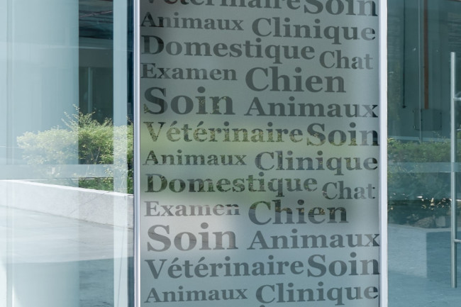 Sticker Vétérinaire Store Dépoli